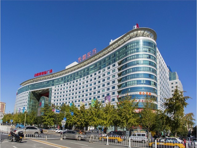 莆田仿真草销售